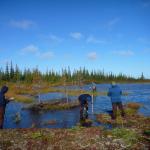 studying climate change in the arctic